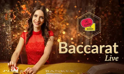Taya365 Bingo Community: Connect and Play